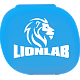 Pillbox Lionlab