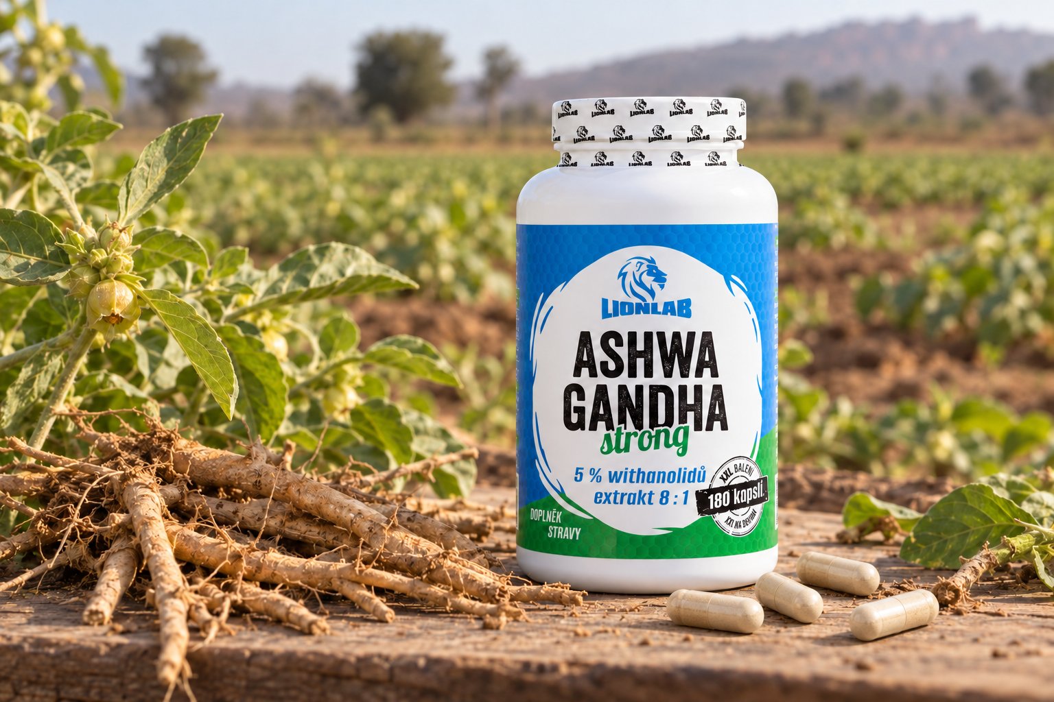 Ashwagandha: indický adaptogen, kterému se v sanskrtu říká "vůně koně"